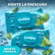 thumbnail image 3 of Compa Wipes Toallitas Húmedas para Adulto XL - Caja con 12 Paquetes (576 Piezas Totales) - Tamaño 17.8 x 17.8 cm - Material Dispersable, 3 of 9