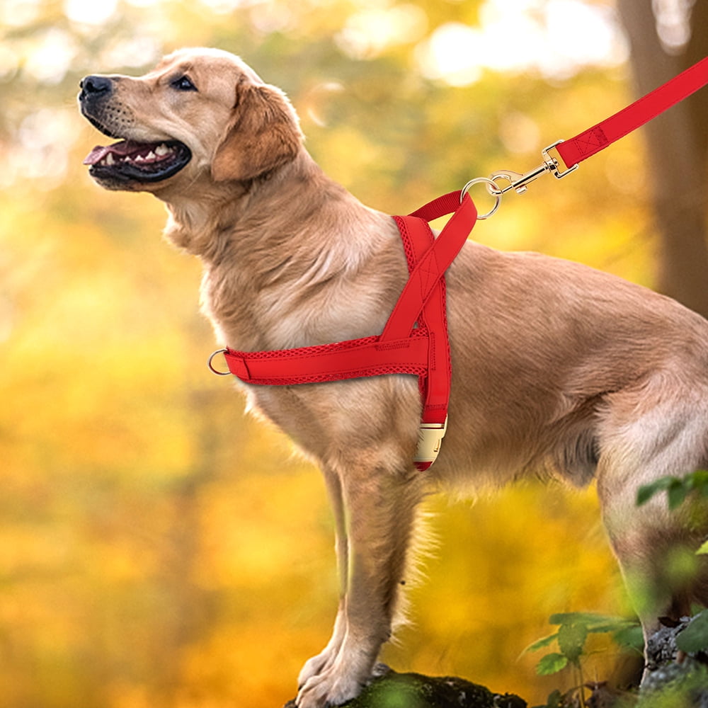 Didog Front Clip No Pull Dog Vest Harness and Leash set Adjustable Mesh Padded Heavy Duty Buckle