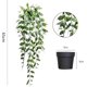 thumbnail image 4 of Plantas Colgantes Artificiales de plástico, Paquete de 3 Piezas, eucalipto, vainas de Guisantes y Datura, para Sala, Dormitorio, baño, Oficina y Exteriores, 4 of 4