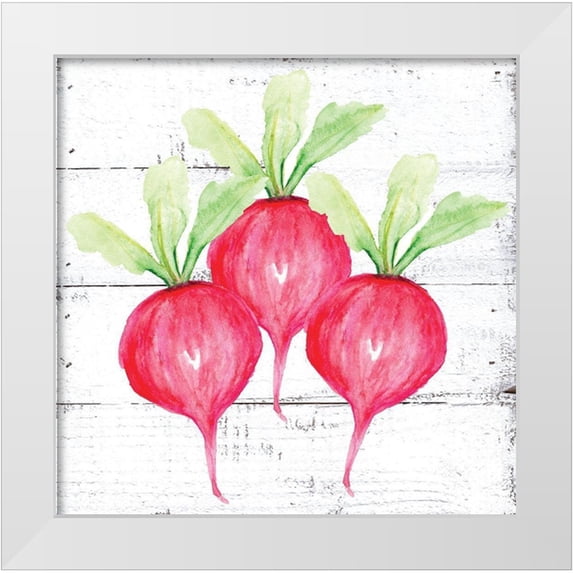 Seay, Anne 20x20 White Modern Wood Framed Museum Art Print Titled - Farm Fresh Radishes