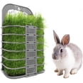 thumbnail image 1 of Comedero de heno para cobayas, cuenco y soporte para heno para conejos, chinchillas, cobayas grandes, animales pequeños, dispensador de alfalfa para conejos de corral., 1 of 5