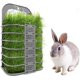 thumbnail image 1 of ZHAOCHENG Rejilla para forraje de heno para cobayas, cuenco para heno y rejilla para heno para conejos, chinchillas, cobayas grandes, animales pequeños, comedero de alfalfa para conejos, 1 of 5