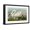 Black Frame, variant on Art.com Common American Swan Giclee Print by John James Audubon, 24" x 16"