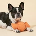 thumbnail image 4 of Oodles Durable Looped Knot Dog Toy Set, Pink and Orange, One Size, 4 of 9