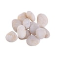 thumbnail image 1 of Painting Rocks and Stones Children‘s Drawing Painted Cartoon Creative Stones Hand-painted DIY Polishing Pebbles 500G (White), 1 of 6