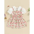 thumbnail image 2 of Bslissey 6M 9M 12M 18M 24M 3T Toddler Baby Girls Puff Short Sleeve Dress Doll Collar Strawberry Heart Print A-line Dress Infant Sweet Summer Princess Dress for Daily Party, 2 of 9