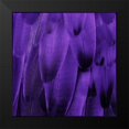 thumbnail image 2 of Bosco, Julia 15x15 Black Modern Framed Museum Art Print Titled - Feathered Friend - Purple, 2 of 5