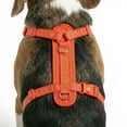 thumbnail image 3 of Oodles Polyester I Heart Walks Adjustable Step-in Dog Walking Harness Red, Small, 3 of 9