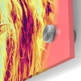thumbnail image 2 of Epic Art 'Highland Cow Crush,' Acrylic Glass Wall Art, 36"x36", 2 of 7