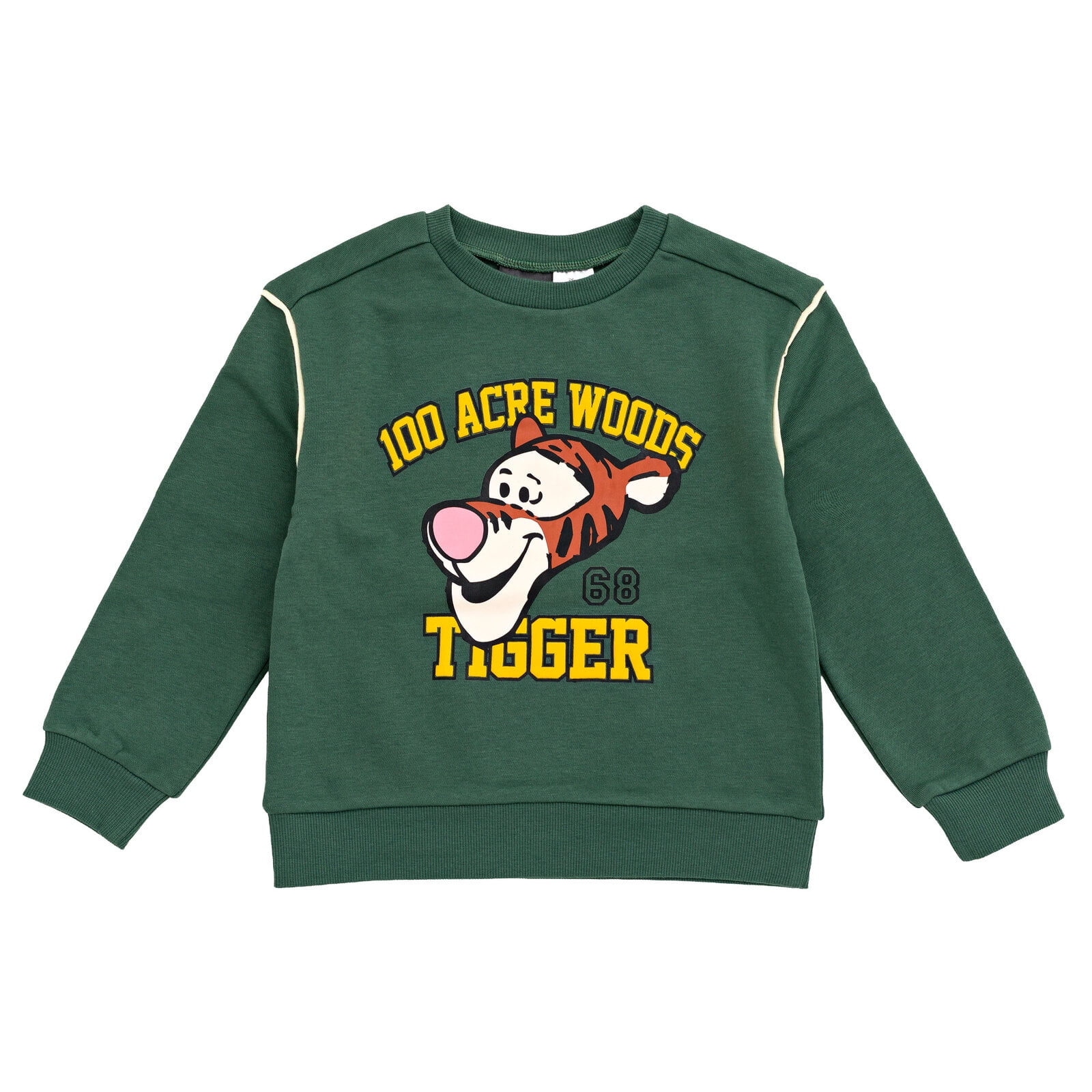 Disney Winnie the Pooh Baby Boys' Fleece Sweatshirt and Pants Set Tigger Dark Green
