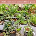 thumbnail image 6 of 8 lb Organic Leca Clay Pebbles for Plants, 4mm-16mm 100% Natural Leca Balls for Indoor Plants, Hydroton Clay Pebbles for Plants Hydroponic Aquaponics Growing Orchid Drainage Terrarium, 6 of 7