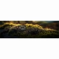 thumbnail image 6 of Kingston Canvas Select Plus 1 TB Class 10/UHS-I (U3) V30 microSDXC, 6 of 6