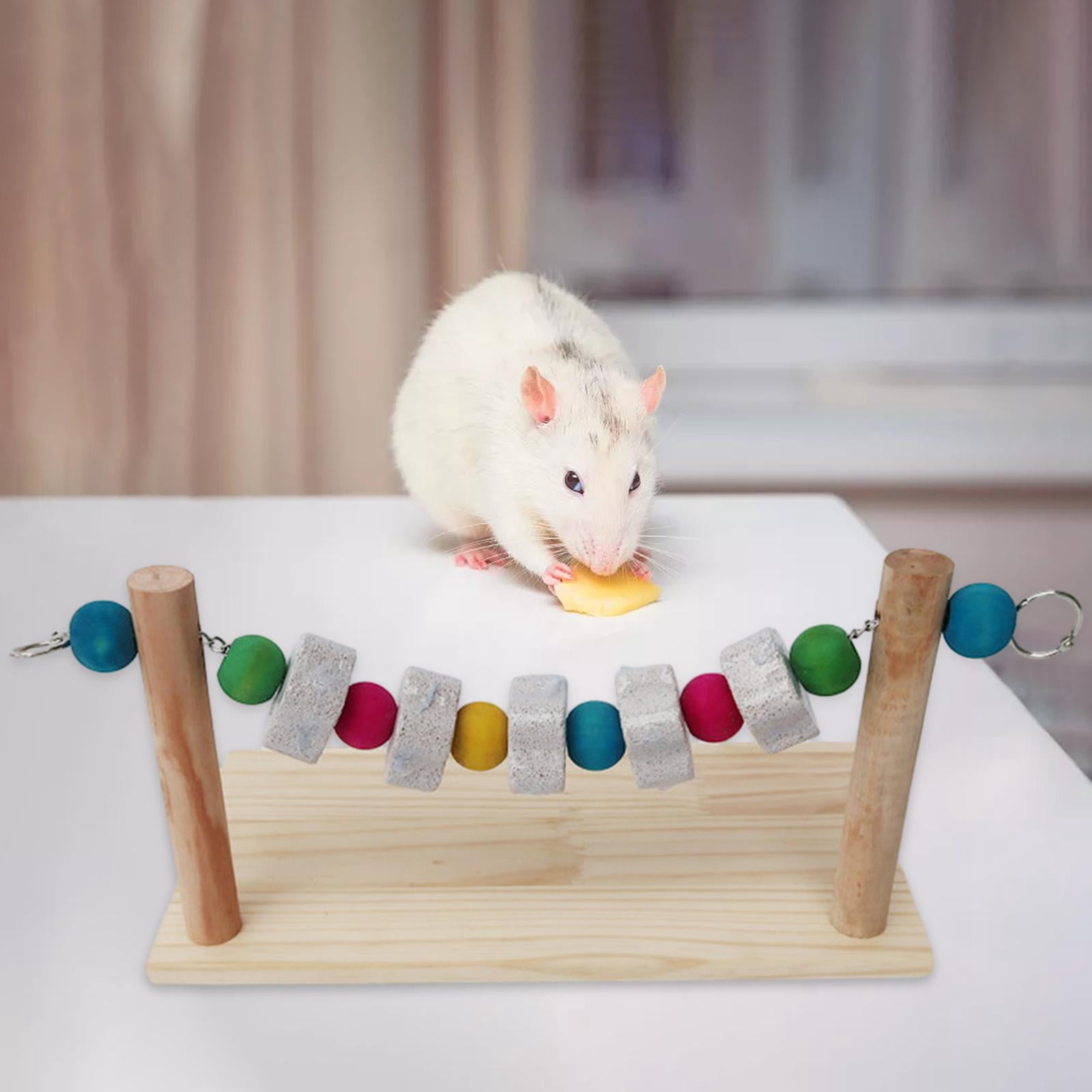 Bird Stand Grinding Block Wood Playground Training Perching Bite Chews Toy Molar