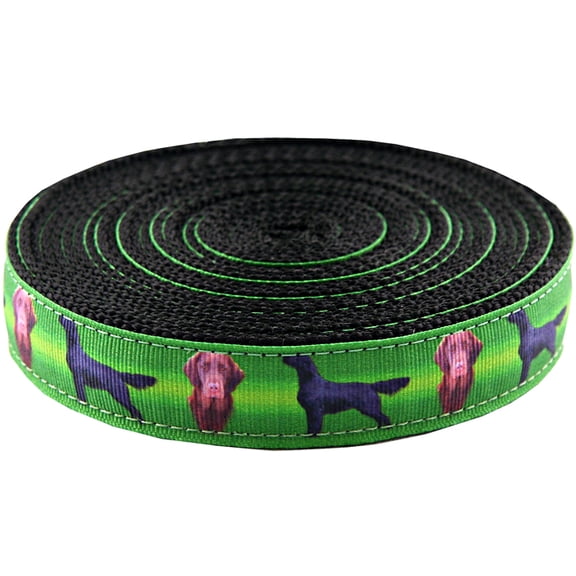 Country Brook Design - Flat Coated Retriever on Black Webbing (1 Inch, 5 Yards)