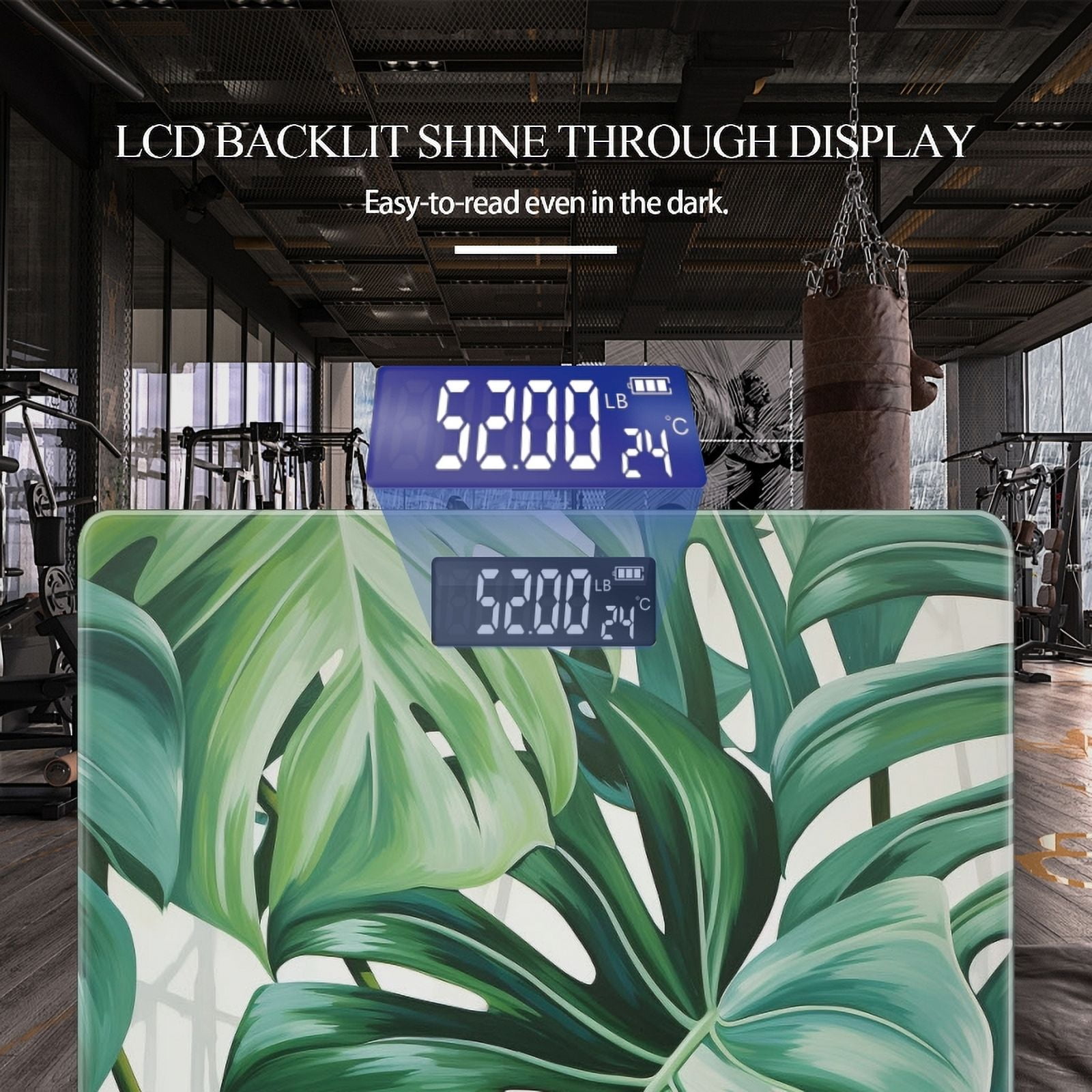 Bathroom Scale, Highly Accurate Digital Body Scale,Precisely Measures Weight up to 400 lbs-Large Monstera Leaves With White Background