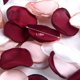 thumbnail image 4 of Flores Artificiales Pétalos De Rosa De Seda Niña De Flores Pétalos De Dispersión Artificial Para Centros De Mesa De Pasillo De Boda Aniversario Día De San Valentín Cortejo 200 Unids Methold HA039638-01, 4 of 6
