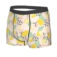 thumbnail image 2 of Naloa Lemon Leaves Print Mens Underwear - Boxers for Men, Classic Briefs for Men, 2 of 9
