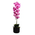thumbnail image 1 of Maceta Iko-An Maxi Orquídea Artificial Fiucsa, 1 of 4