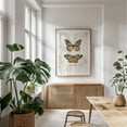 thumbnail image 6 of Butterflies VI - Drawing Butterfly Vintage Nature Botanical Insect Illustration Unframed Wall Art Print 24 x 32 inches, 6 of 16
