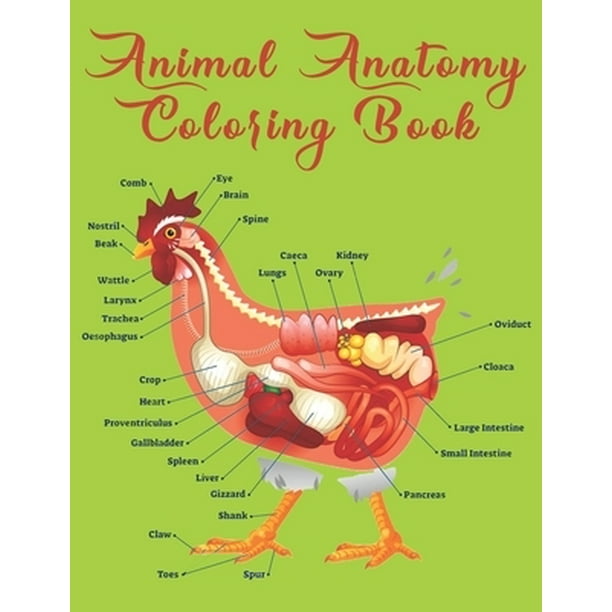 Animal Anatomy Coloring Book: Veterinary Physiology Animals Coloring - Anatomy M Animal Anatomy Coloring Book: Veterinary Physiology Animals Coloring - Anatomy M