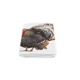 thumbnail image 3 of RYLABLUE Turkey Blanket Fleece Throw Blanket for Sofa or Bed 58x80 inches, 3 of 3