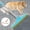 Blue, variant on Carpet Rake for Pet Hair Removal - Reusable Pet Hair Remover, 60” Adjustable Long Handle Cat Dog Carpet Rake Scraper with Patented Design, Dog Hair Rake Brush for Rugs, Mats