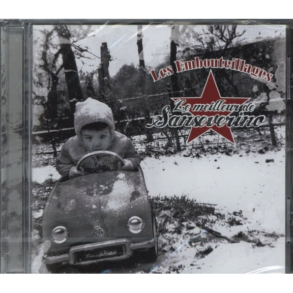 Le Meilleur de Sanseverino