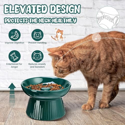 2 Pcs Raised Cat Slow Feeder Bowl Ceramic Elevated Cat Dog Food Bowl No Spill High Edge for Dry Wet Food and Water Easy to Clean, Dishwasher Safe (Dark Green)
