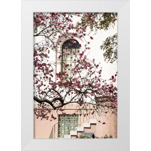 Murdock, Ramona 23x32 White Modern Wood Framed Museum Art Print Titled - Charleston Spring Blossoms