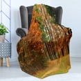 thumbnail image 4 of Fall Soft Flannel Fleece Throw Blanket, Cloudy Overcast Day in September Shrubs Pines Sidewalk in the Park Forest, Cozy Plush for Indoor and Outdoor Use, 60" x 80", Orange Green Brown, by Ambesonne, 4 of 5