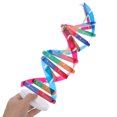 thumbnail image 3 of OULII Dna Model Assorted Color Gene Structure Representation 1 Set, 3 of 8