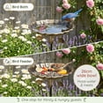 thumbnail image 5 of Wekvgz Bird Bath 32 Inches Sturdy Iron Garden Birdbath for Outside Vintage Standing Bird Bath Bowl for Outdoor Garden Patio Yard Lawn, 5 of 11