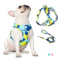 thumbnail image 2 of Nuevo arnés para perros y gatos, chaleco ajustable, correa para caminar, collar para cachorros, arnés de malla de poliéster para perros pequeños, medianos y gatos, 2 of 5
