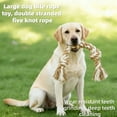 thumbnail image 5 of Tough Five-Knot Cotton Rope for Dogs Ideal for Chewing and Playtime, 5 of 8