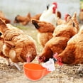 thumbnail image 3 of Soimiss 6Pcs Safe Durable Automatic Chicken Drink Cups Plastic Poultry Waterers, 3 of 8