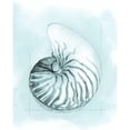 thumbnail image 3 of Meagher, Megan 12x14 Black Modern Framed Museum Art Print Titled - Coastal Shell Schematic II, 3 of 5