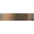 thumbnail image 2 of Revlon ColorSilk ColorStay Nourishing Shampoo Gorgeous Brunette, 8.45 oz (Pack of 4), 2 of 3