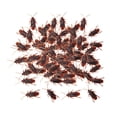 thumbnail image 2 of 100 piezas de juguetes de cucarachas falsas, cucarachas realistas, juguetes de animales, juguetes complicados de simulación, cucarachas artificiales d S, 2 of 8