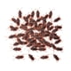 thumbnail image 2 of 100 piezas de cucarachas falsas, juguete de broma de cucarachas artificiales, favores de fiesta, simulación, juguetes de broma para niños, cucarachas S BLESIY Juguetes falsos para cucarachas, 2 of 8