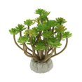 thumbnail image 2 of DOLITY Terrarium pour Reptiles Paysage Lotus, 2 of 8