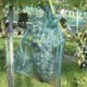 thumbnail image 5 of Bolsa de protección de uva impermeable para jardín, bolsa de malla para Control de plagas de frutas y verduras Tmvgtek Oficina Multiescena Multifunción, 5 of 9
