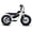 Skully Grey, variant on Golden Cycles Big Boy 16 in 350W Fat Tire Electric Bike, Skully Grey