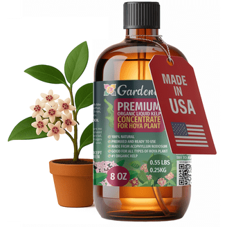 GARDENERA Premium Organic Seaweed & Kelp Superfood  for Philodendron Plants - 32 oz - Liquid Kelp Fertilizer Concentrate (Makes  180 ...