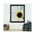 thumbnail image 3 of Craig Frames Black 20x23 inch Hardwood Picture Frame Wiltshire 200 Series, 3 of 5
