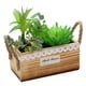 thumbnail image 1 of Cesta de lavabo de madera combinación suculenta bonsái flor de simulación decoración artificial del hogar, 1 of 5