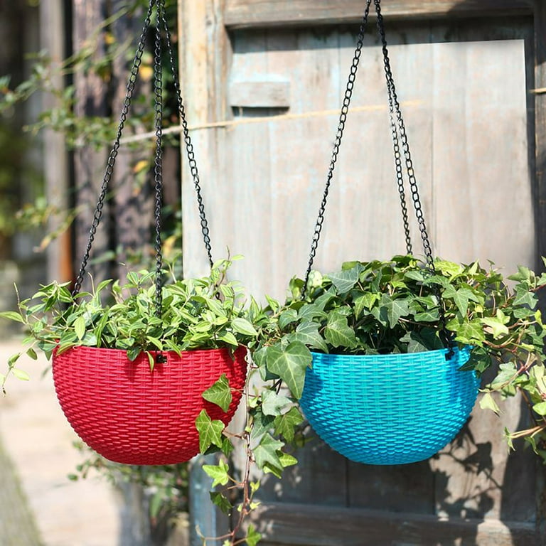 succulents for the shade Plant Gifts | Shades of Green Succulent Garden | New Jersey Delivery main image 1
