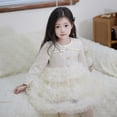 thumbnail image 1 of Falda gruesa de estilo moderno de moda para niñas, linda y moderna primavera, falda de pastel de vellón para niños, falda de princesa de malla, 1 of 5