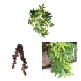 thumbnail image 1 of 3 x plantas falsas de artificial para la decoración de del verdor libre del jardín del Yinane Reptiles Vine Jungle, 1 of 8