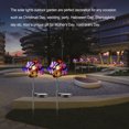 thumbnail image 3 of Wosthever Luz solar flor impermeable al aire libre interior jardín calle parque paisaje camino césped decoración estaca lámpara iluminación Iluminación y accesorios Wosthever HA067616-00B, 3 of 6