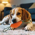 thumbnail image 4 of Wear Tough Outdoor Puppy Tug Interactable Chew For Training And Stress Pet Toy For Dogs Durable Training Aid, 4 of 5